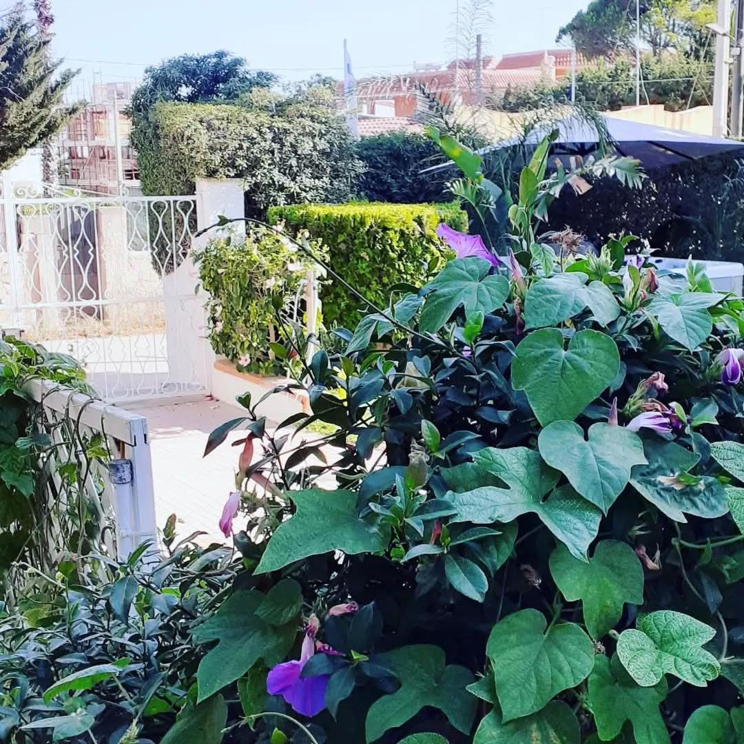 Sottovento Marzamemi Rooms&Relax ภายนอก รูปภาพ